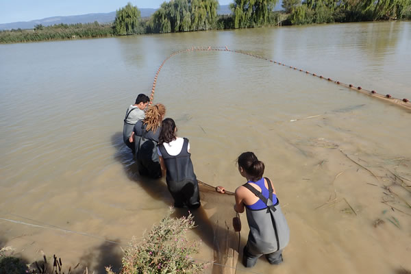 pêche au filet par les étudiants
